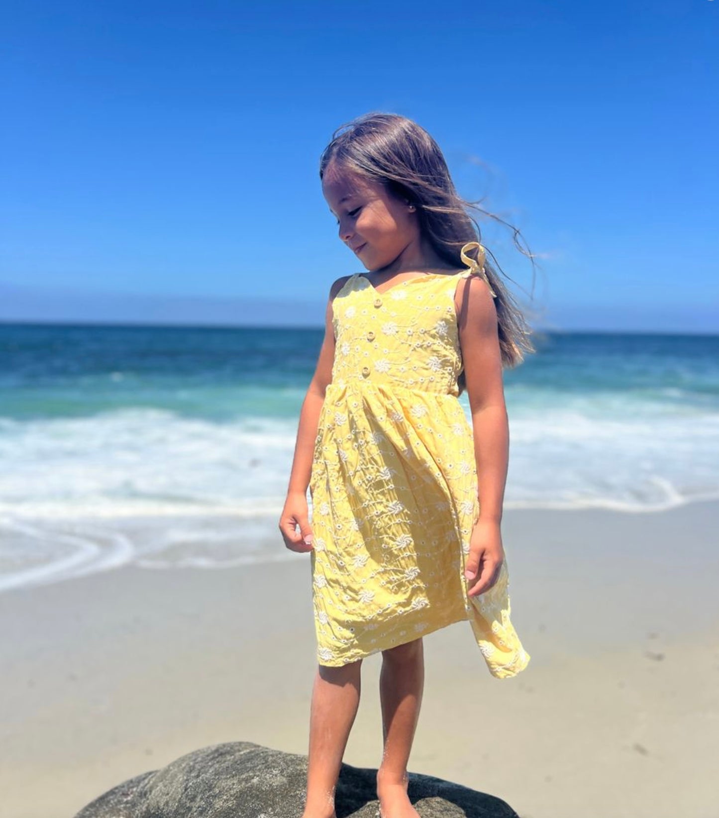 Vignette Penny Dress