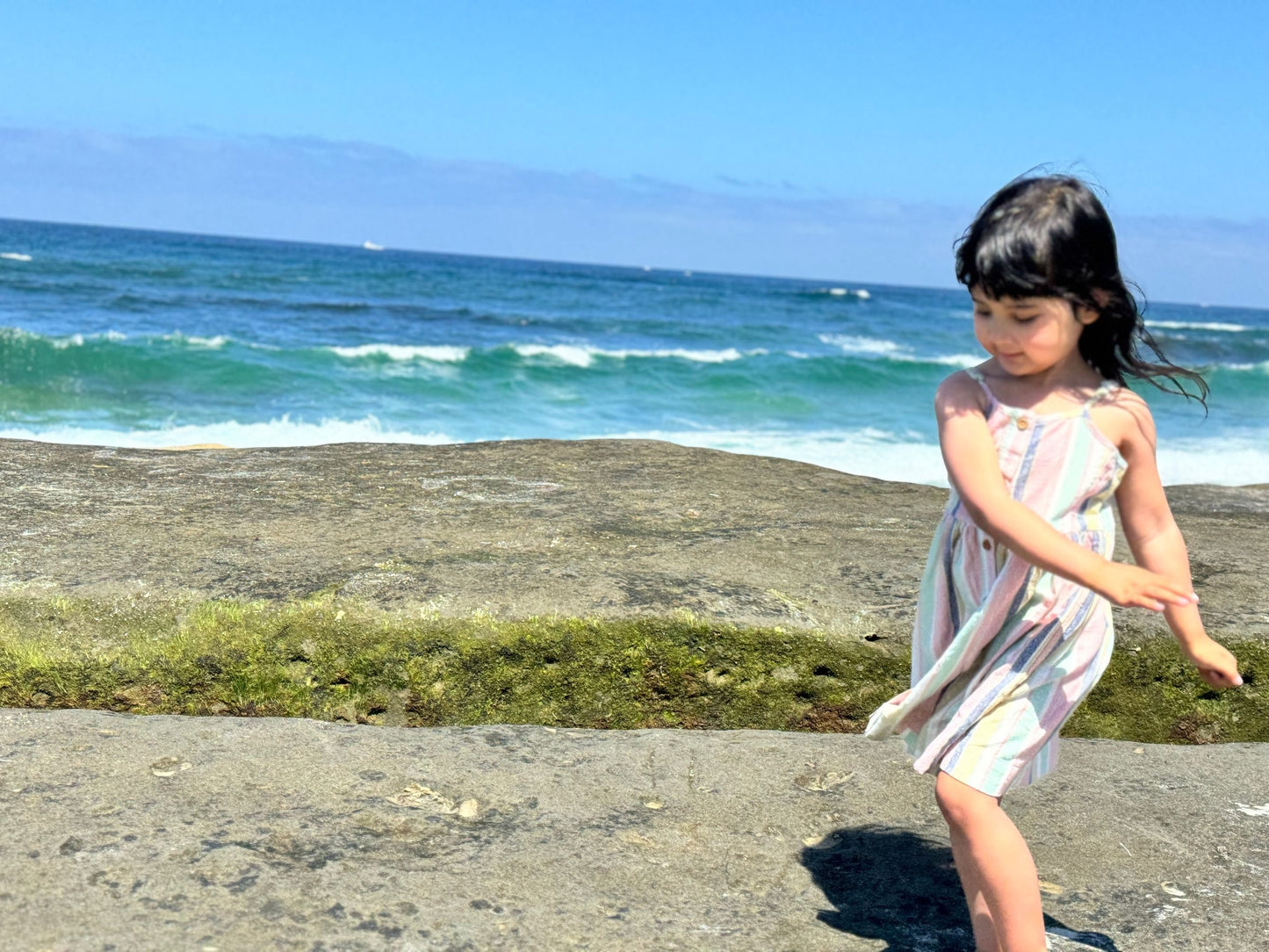 Vignette Brooklyn Dress