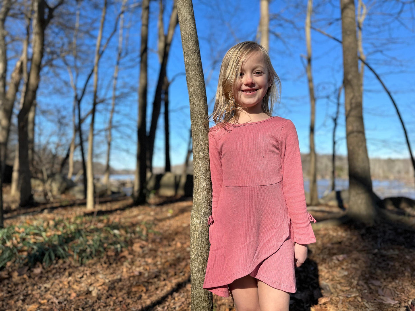 Vignette Shilo Dress Rose