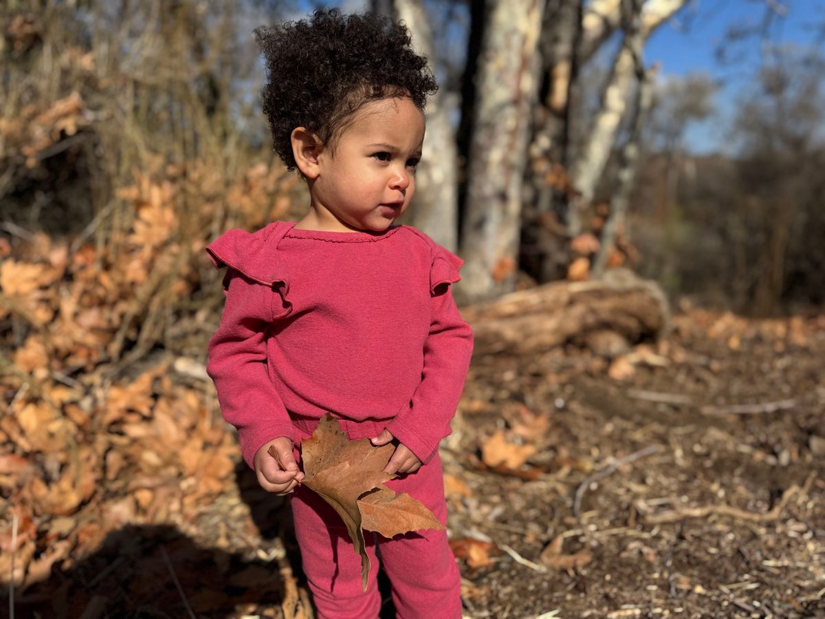 Vignette Berry Francie Bubble