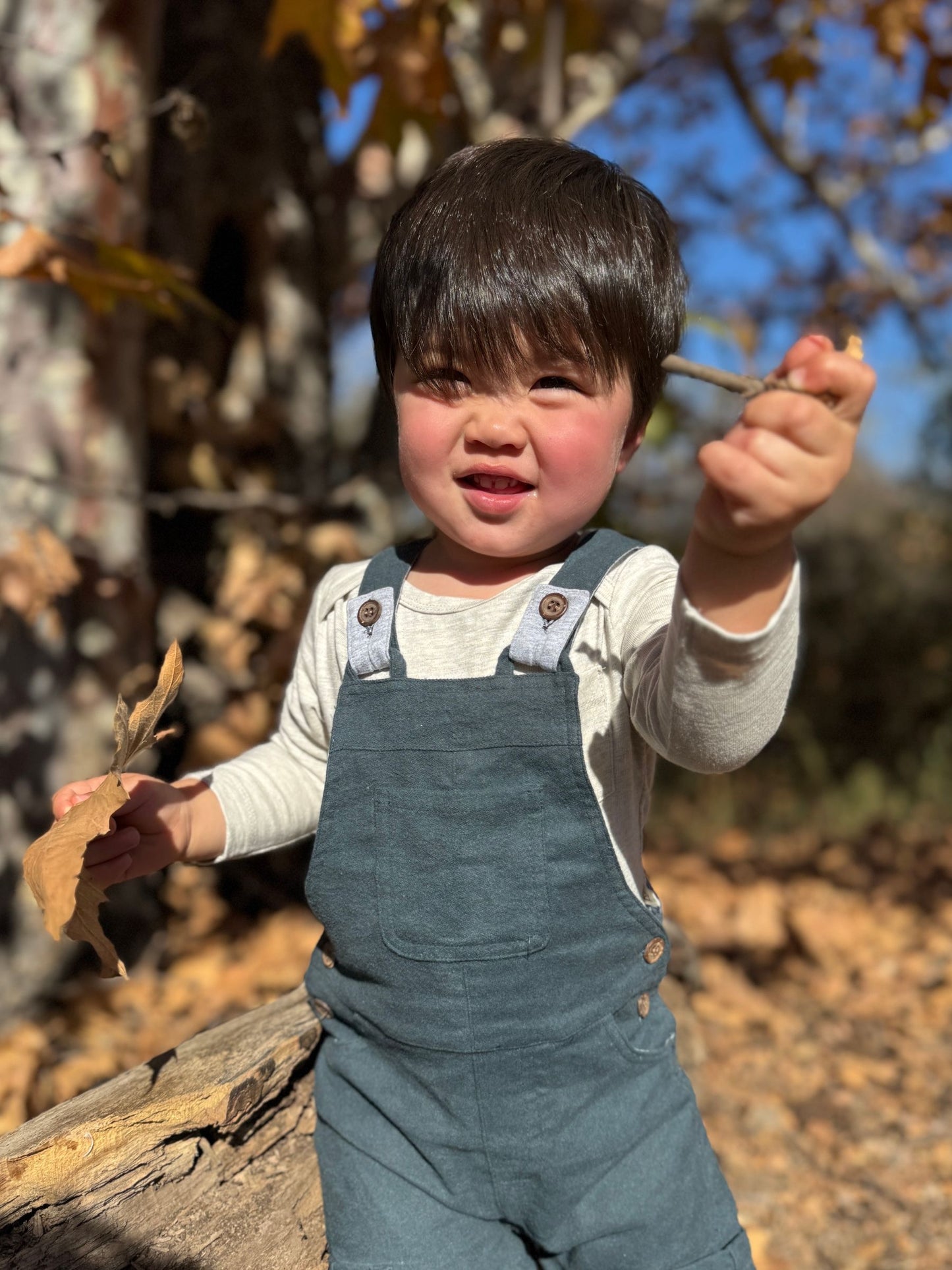 Me & Henry Bash Overalls